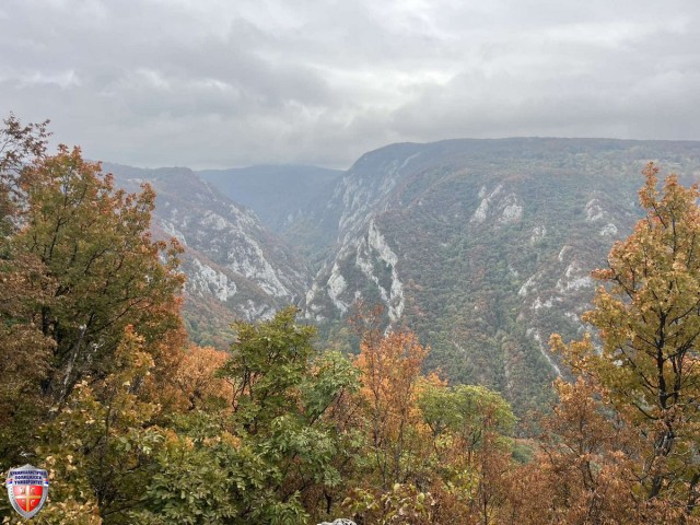 IMG_6560.jpg